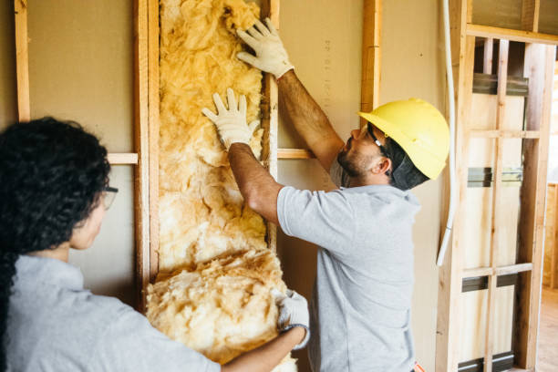 Best Insulation Inspection Services  in USA